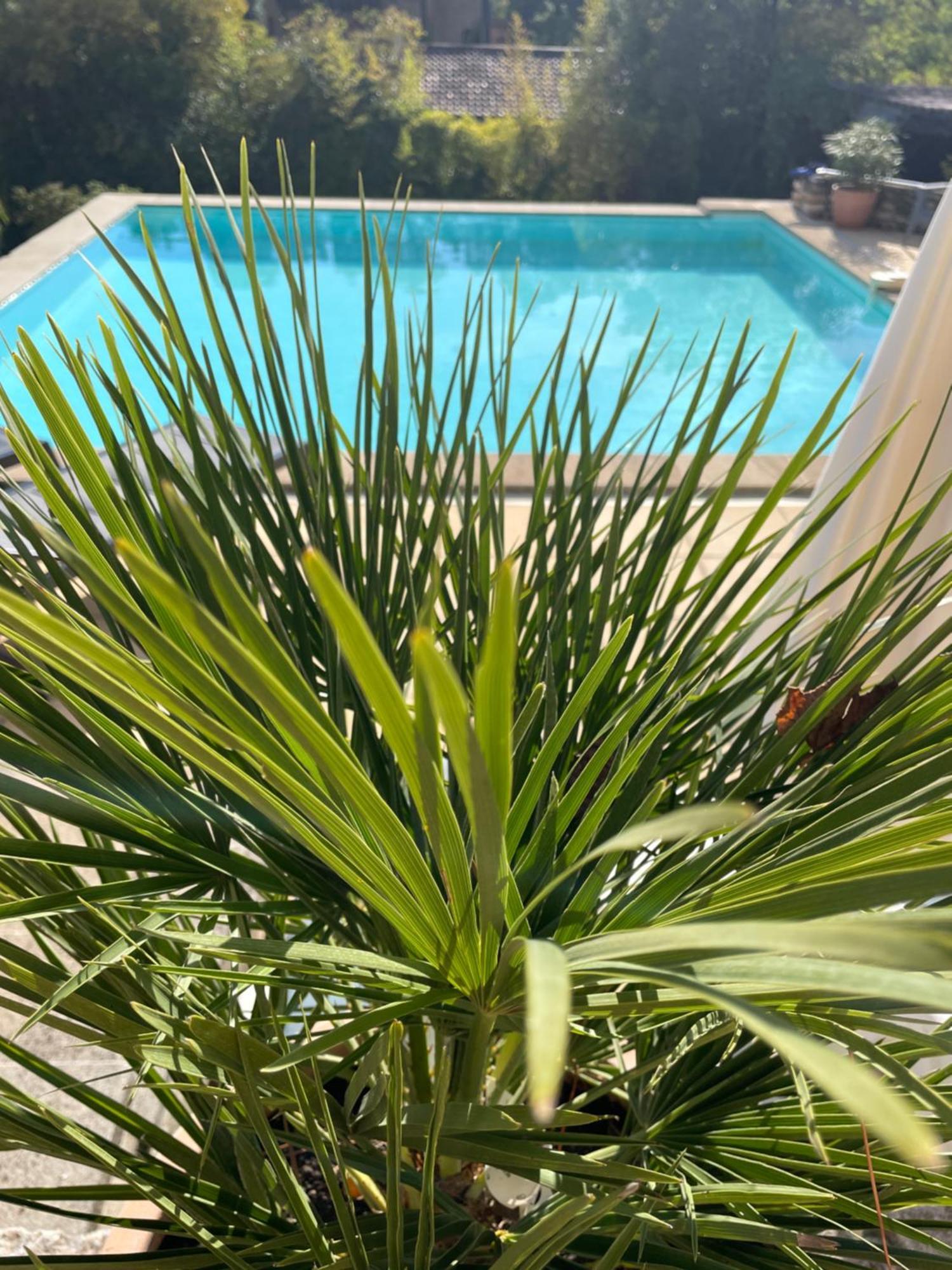 O Coeur Des Ocres Apartman Roussillon en Isere Kültér fotó