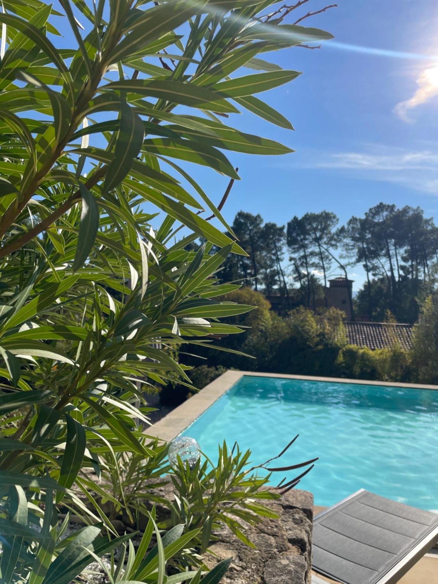 O Coeur Des Ocres Apartman Roussillon en Isere Kültér fotó